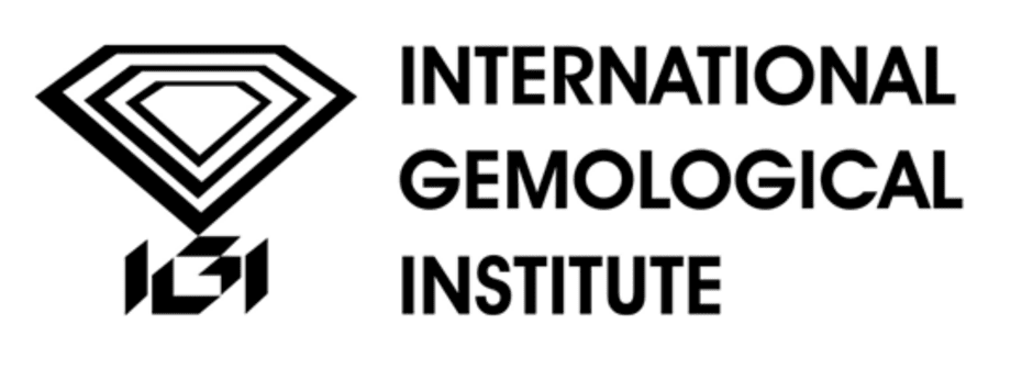 IGI Logo