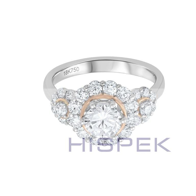 B1 DMR28481 Top