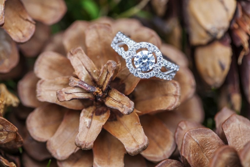 Browse halo rings 169036605 scaled