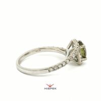 HSDLGDR5696WG 100N 6