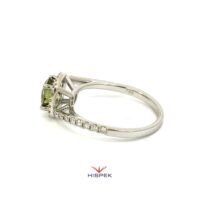 HSDLGDR5696WG 100N 7