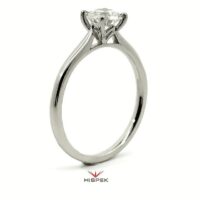 HSDLGDRX6702 100 PT 4