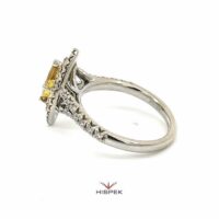 HSDLGDTMR4672WGVY 53N 4