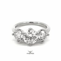 HSDLGDTMR6057WG 290L 5