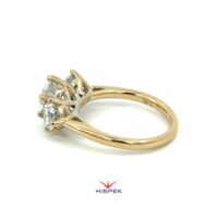 HSDLGDTRM6057YG 290L 6