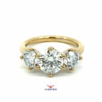 HSDLGDTRM6057YG 290L 7