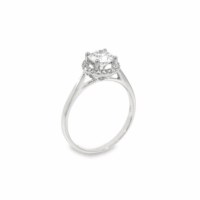 NASLGDR3815WG18 83N 2