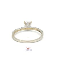 R4427 75 Back scaled