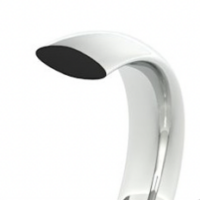 Traditional Court profile