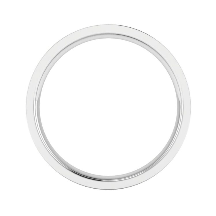 WP50 Front 2